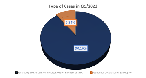 Type of Cases in Q1/2023