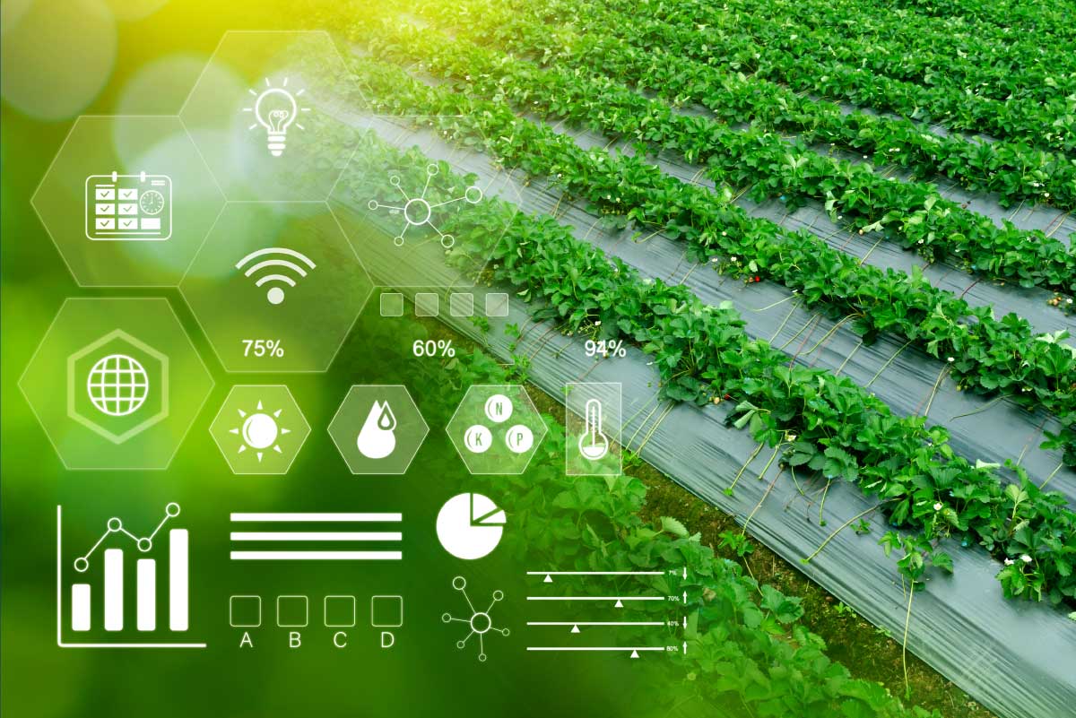 The Role of AgriTech Platforms in Accelerating Modernization and Enhancing Agricultural Productivity in Indonesia
